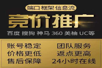 百度推广平台案例剖析：揭秘广告投放策略